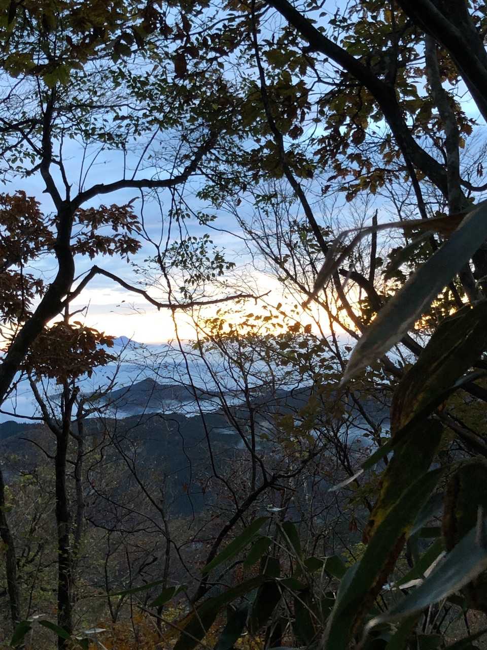 木々の隙間からしか展望なし