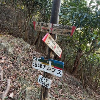 まずは大平山へ