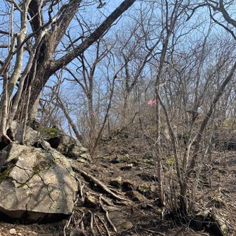 ピンテ🩷が続いている👍
こちらの方が、登りやすかったですね👍