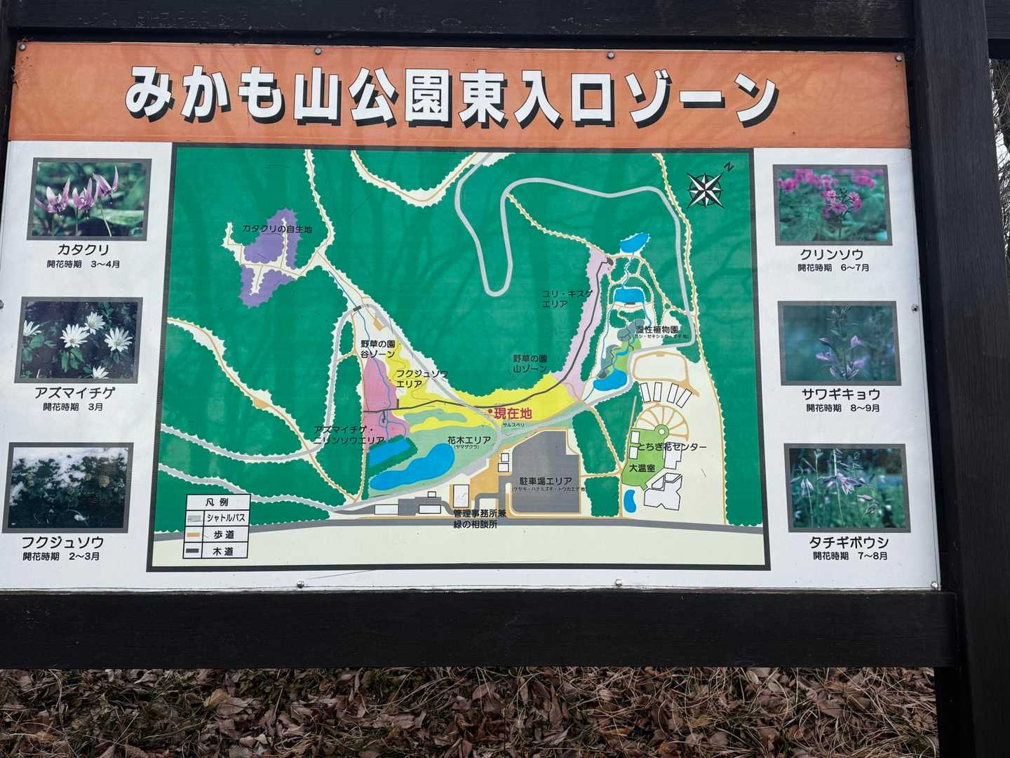 山頂中継広場 周回コースの写真