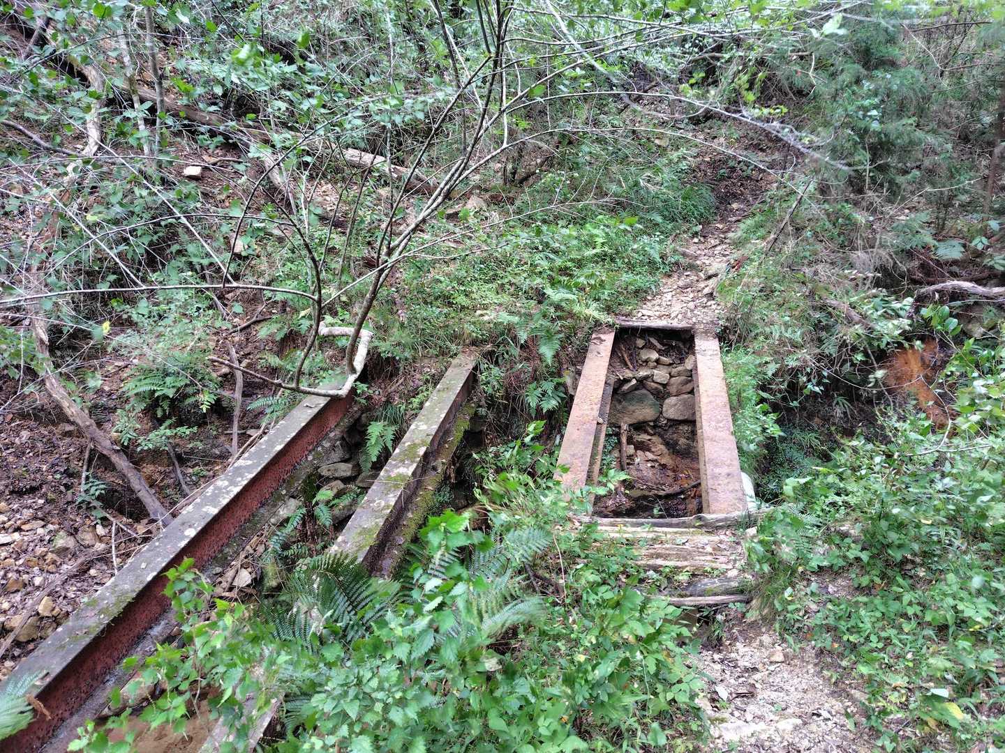 川の上に橋を
両足広げて渡ります。