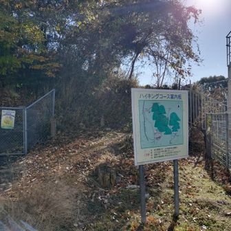 降りてきました