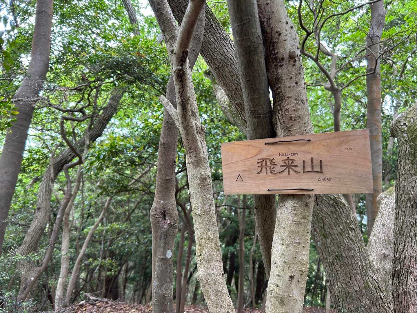 久しぶりに
飛来山に
寄る(•̥̑.̮•̥̑)