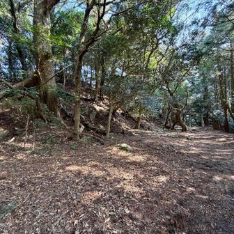 赤い鳥居下の境内、ここが桝形城跡？