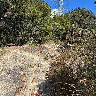 今日もよろしくお願いします