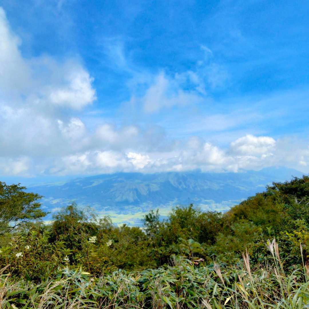 大矢岳-大矢野岳-太郎ヶ迫 往復コースの写真