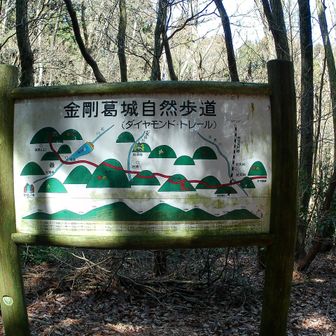 ダイトレ案内図