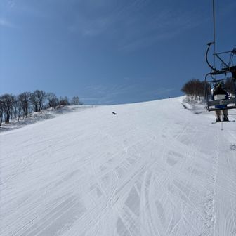 上層界も最高やーん！