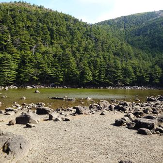 亀甲池