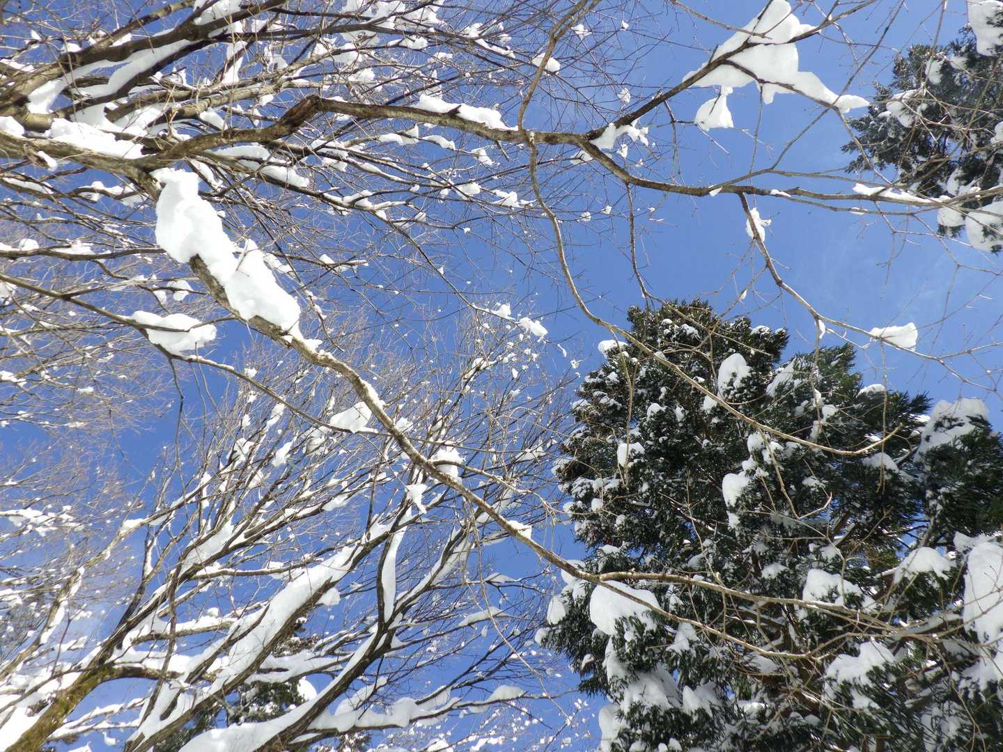 青空～