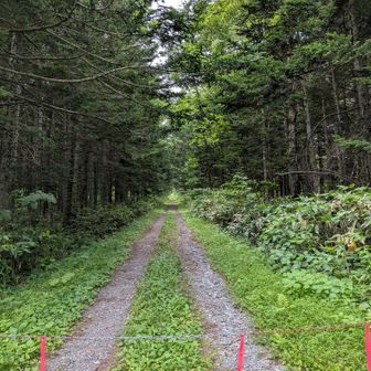 下山時、道を間違えちゃったり、３回くらい転んだけど、頑張りました✨️
雨上がりなどでコンディションが悪い時は絶対に行きたくないなと思うぐらい滑りやすかったです

来た道を振り返る！
今日も頑張った✨️
楽しかった〜🤩
