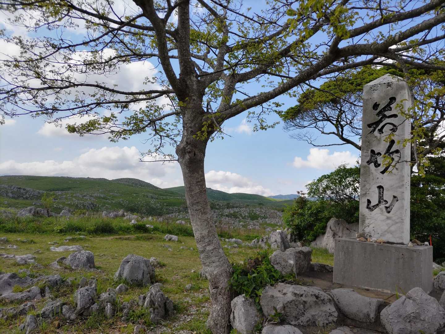 秋吉台にまさかの山が！
ピークゲット！