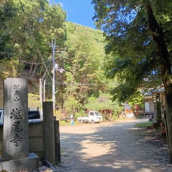 塩尾寺にゃ