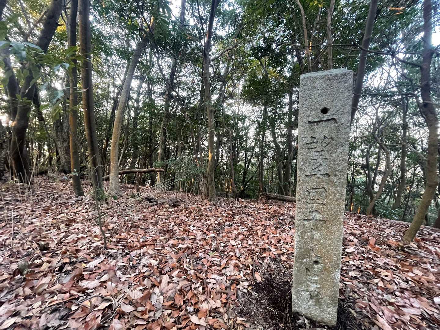 ⛰城山
一望千里ユートピア？
眺望は全く有りません！
(´ﾍ｀；)ｳｰﾑ…