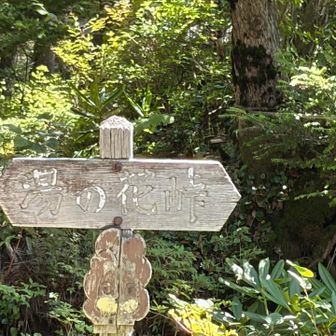 湯の花峠
ここから温泉の匂い