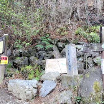 白谷沢コースへの登山口です。