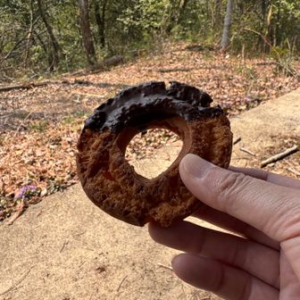 オヤツは飲み会帰りに買ったミスド🍩
（オールドファッション派です😄）