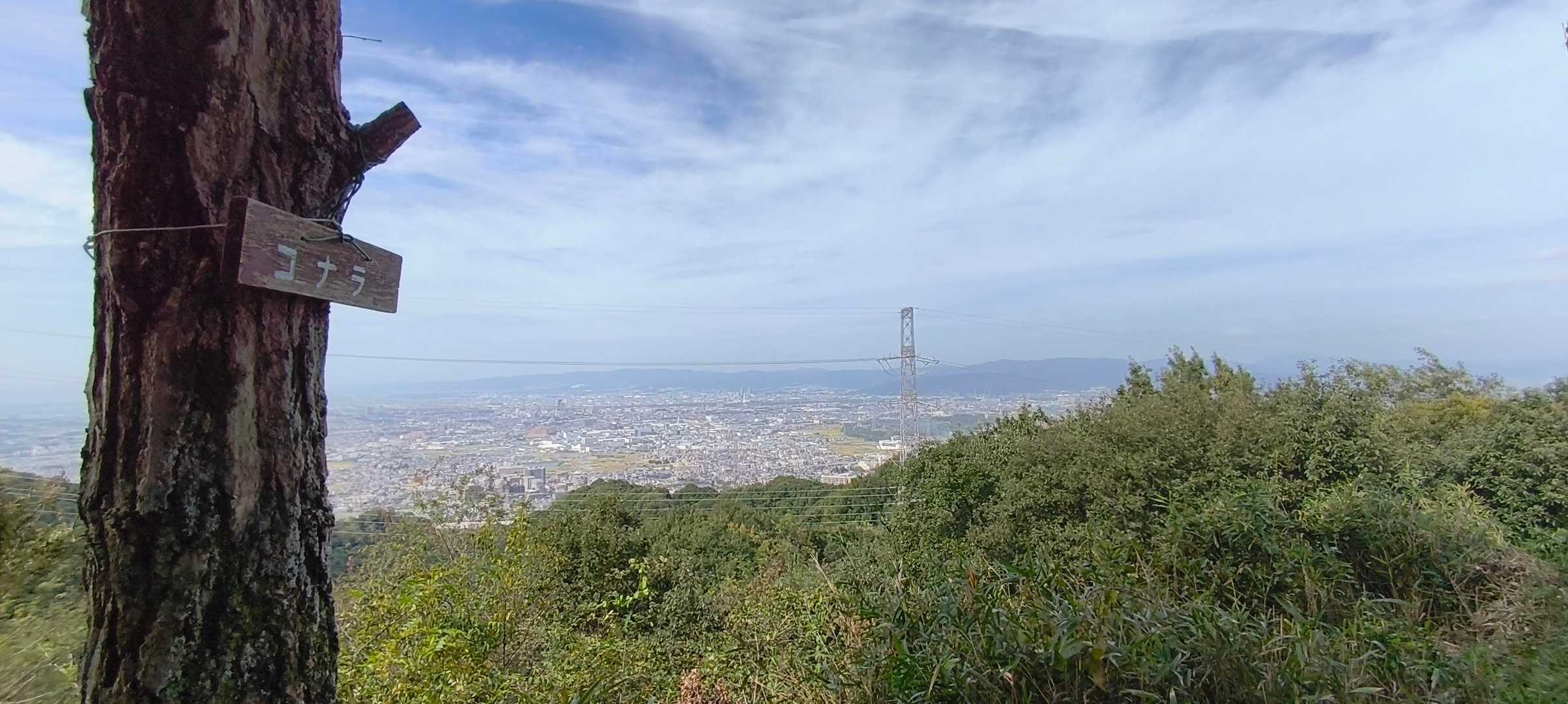 国見山 往復コースの写真