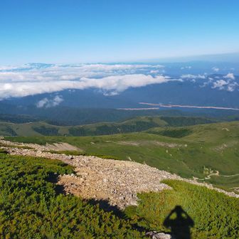 カール側へは下りることができないから、行きと同じ有峰湖側を辿りながら下山に向かう🖐️
左には小さく太郎平小屋が見え、そこから有峰湖のちょっと下まで、真ん中に長ーく登山道が😳折立から太郎平小屋までの長い登山道が…絶望感漂わせるように見えている😱