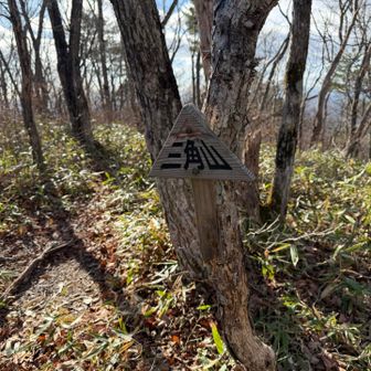 ふと見上げると、ん？トレースぽいな？
道？？
ってなって、地図を見た。
三角山が近くにある！
！？
ここか！ってなって行ってみた。