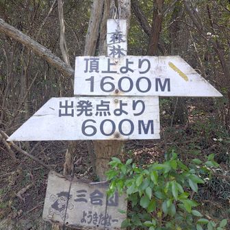 予定通りで行くか右へ行くか。
日陰多そうなので予定通りのコースで