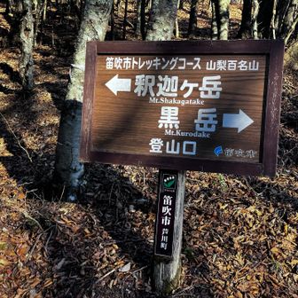 一度道路に降りてから、再度登り直します。はじめは距離短いけど勾配あります。