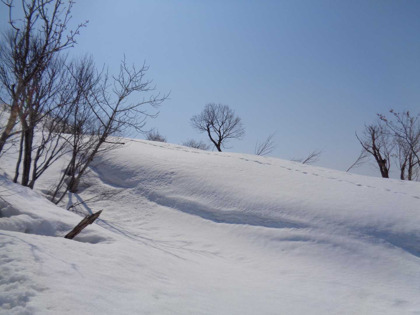 綺麗です
満足