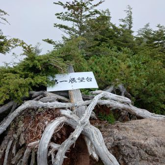 今日はここまで（雷雨予報⛈️）