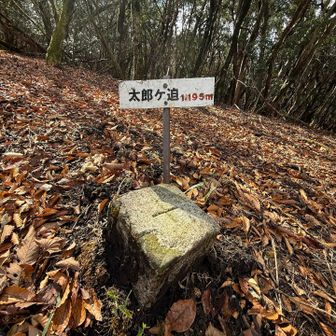 太郎ケ迫 登頂‼️