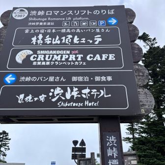 ロマンスリフトの横を登ります