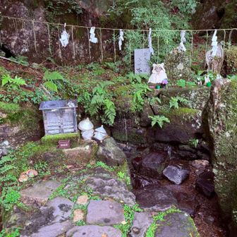 水が豊富な山。
