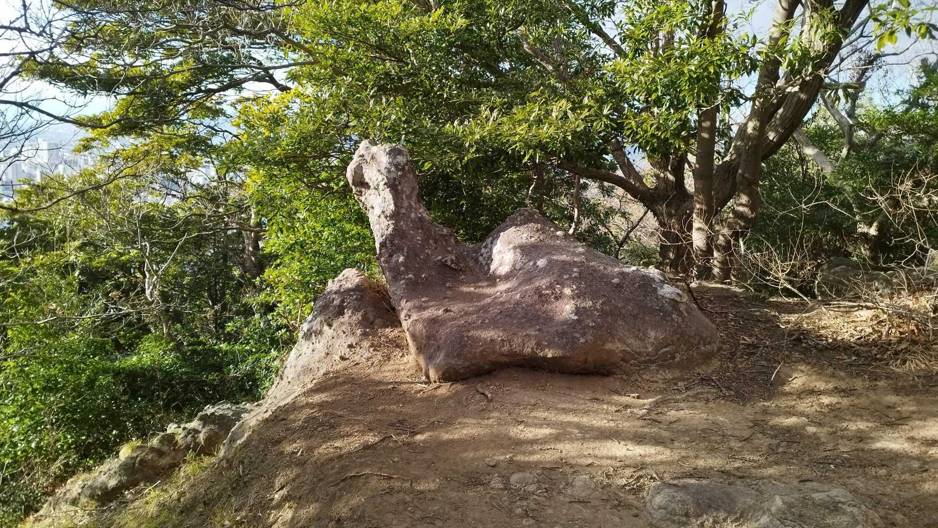 夫婦岩らしい
