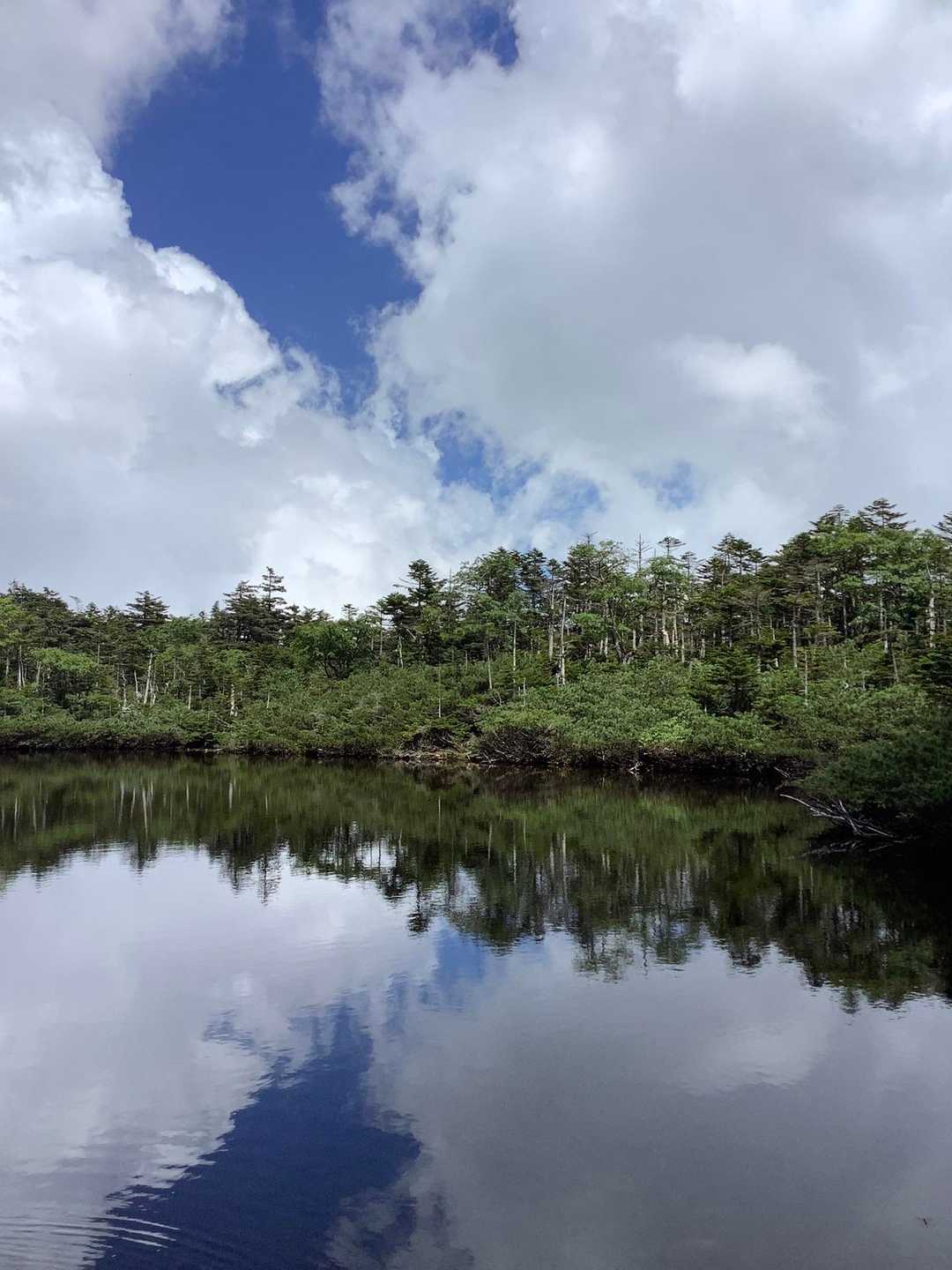 七ッ池のひとつ
水面が鏡になってきれいだなぁ
登山道からは2つしかアクセスできないとのこと