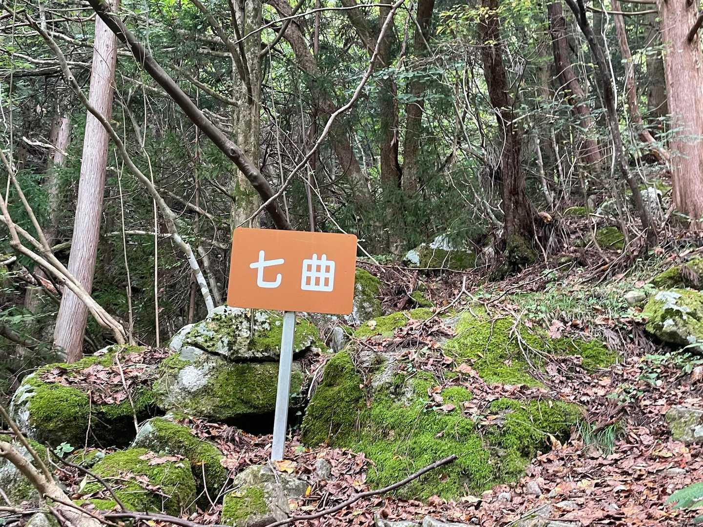 七曲