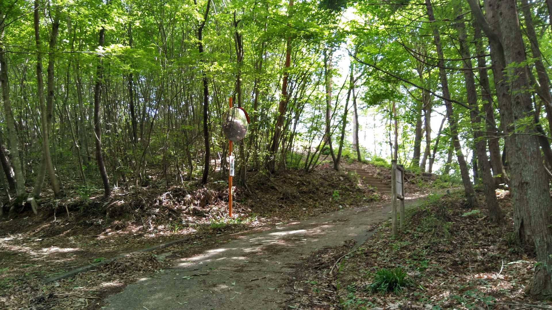 ここから
🐍様との遭遇への
カウントダウンは始まっていた😑
