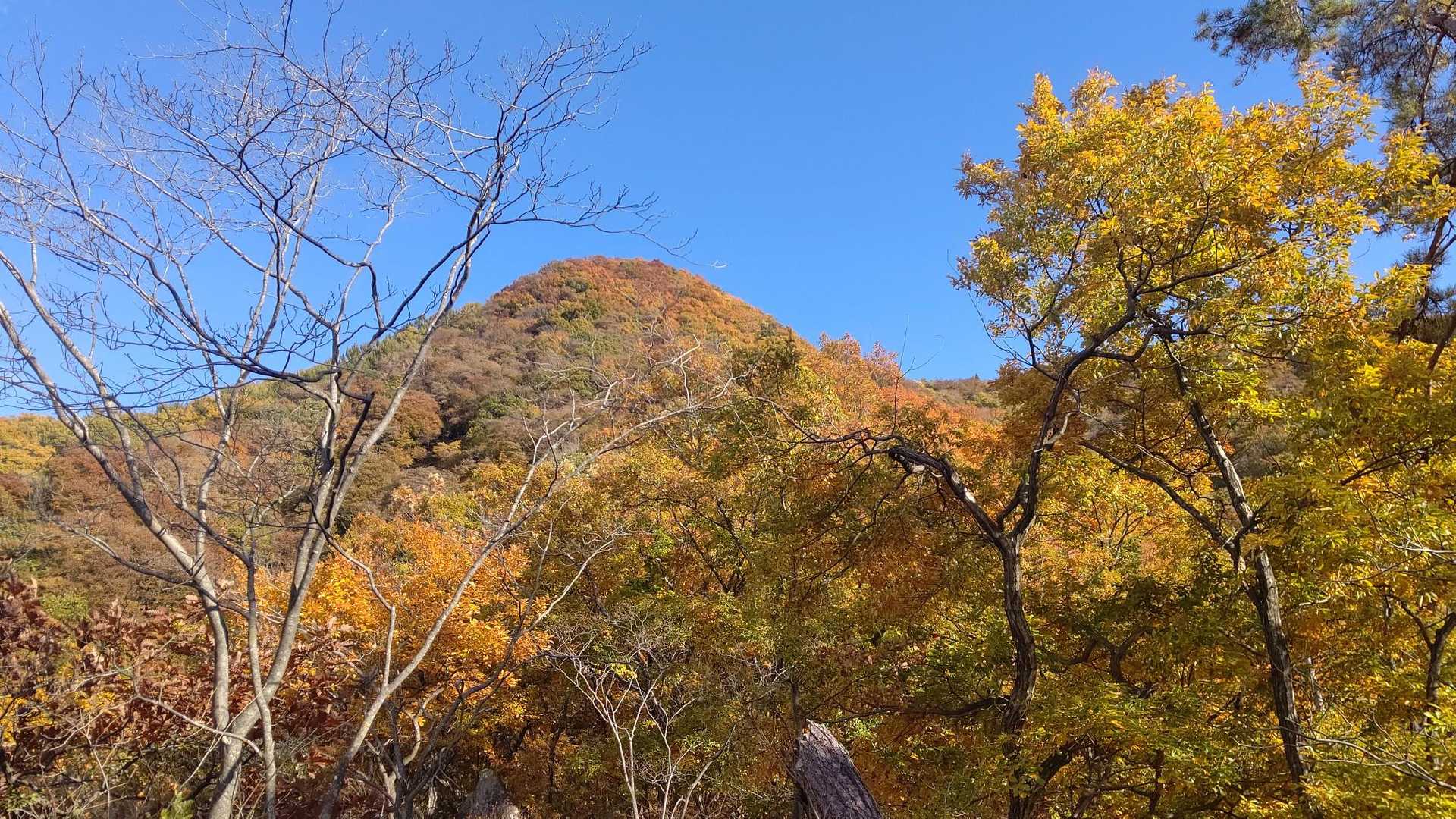 千僧坊ブルー💙