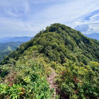 山頂はもうすぐ。
少し下って登り返します。