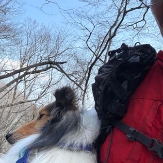 だっこさせられる