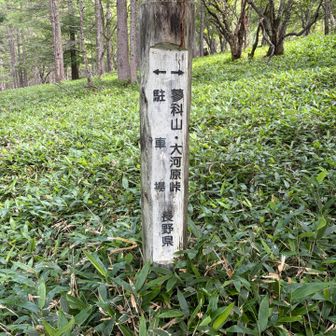 スタート