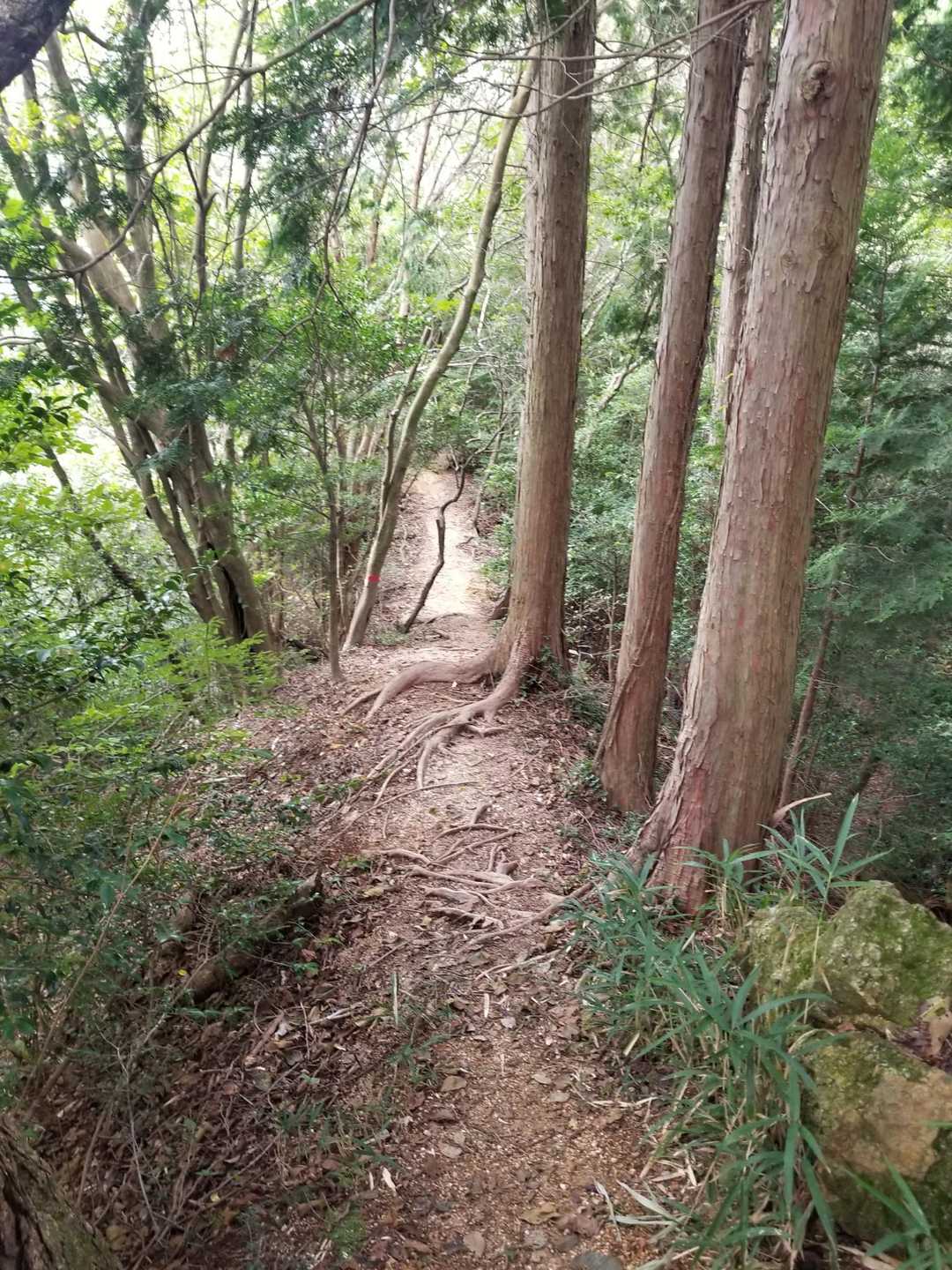 十二坊遊歩道入口-十二坊 周回コースの写真