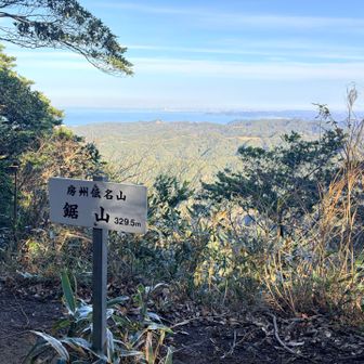 山頂は展望があまり良くない
千葉に暮らして長いのに、千葉の山は鋸山が初でした⛰️