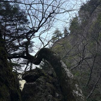 岩古谷山らしい風景