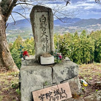 宇陀城山山頂は超爆風でしたっ🤣💦
雨が降ってなくて良かった〜。