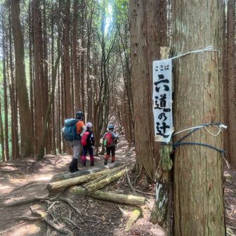 お昼食べてやっと見慣れた六道の辻、脱力