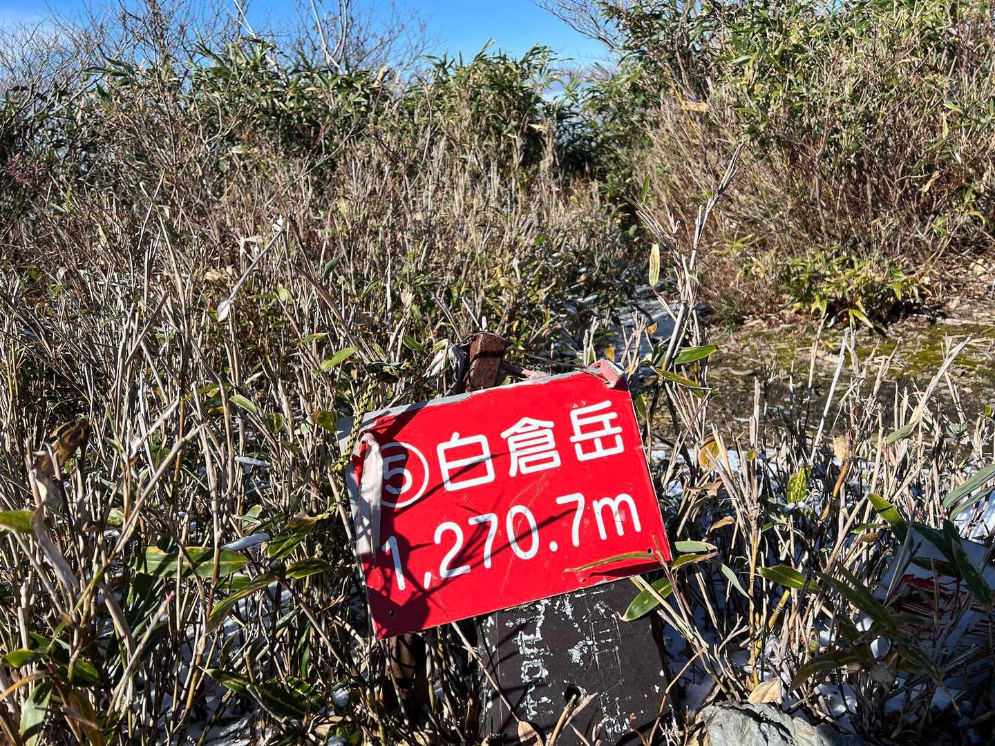金糞岳-白倉岳 往復コースの写真