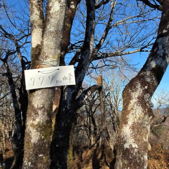 777m峰ピーク取る🖐️