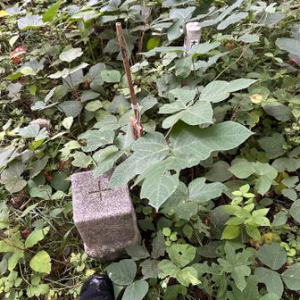 山頂は草むらに隠れて、だいぶ探しました。