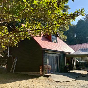 念願のピザ屋さんについたー！うさぎ道は長かった…笑