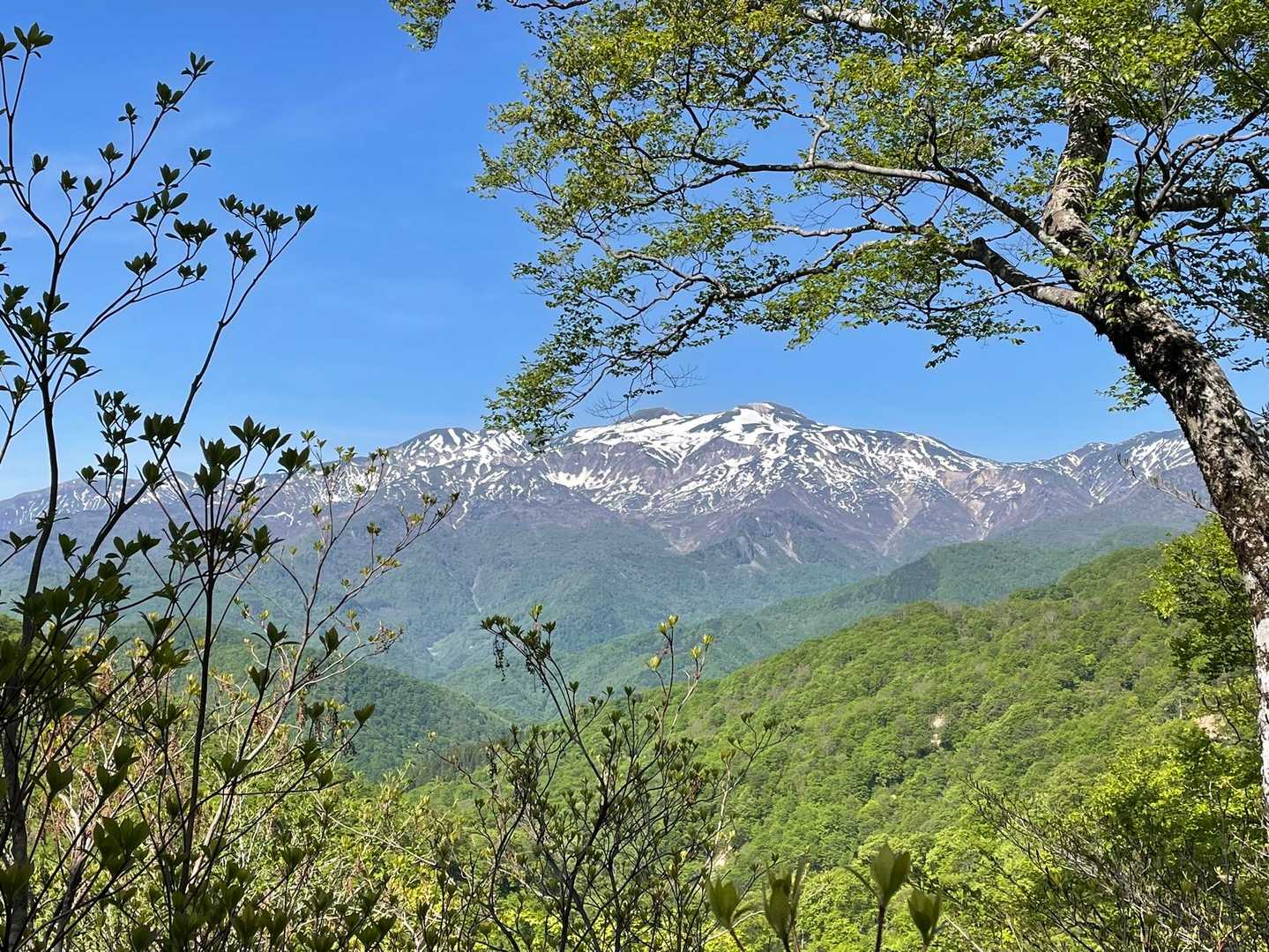 帰りも、展望台からの白山😍