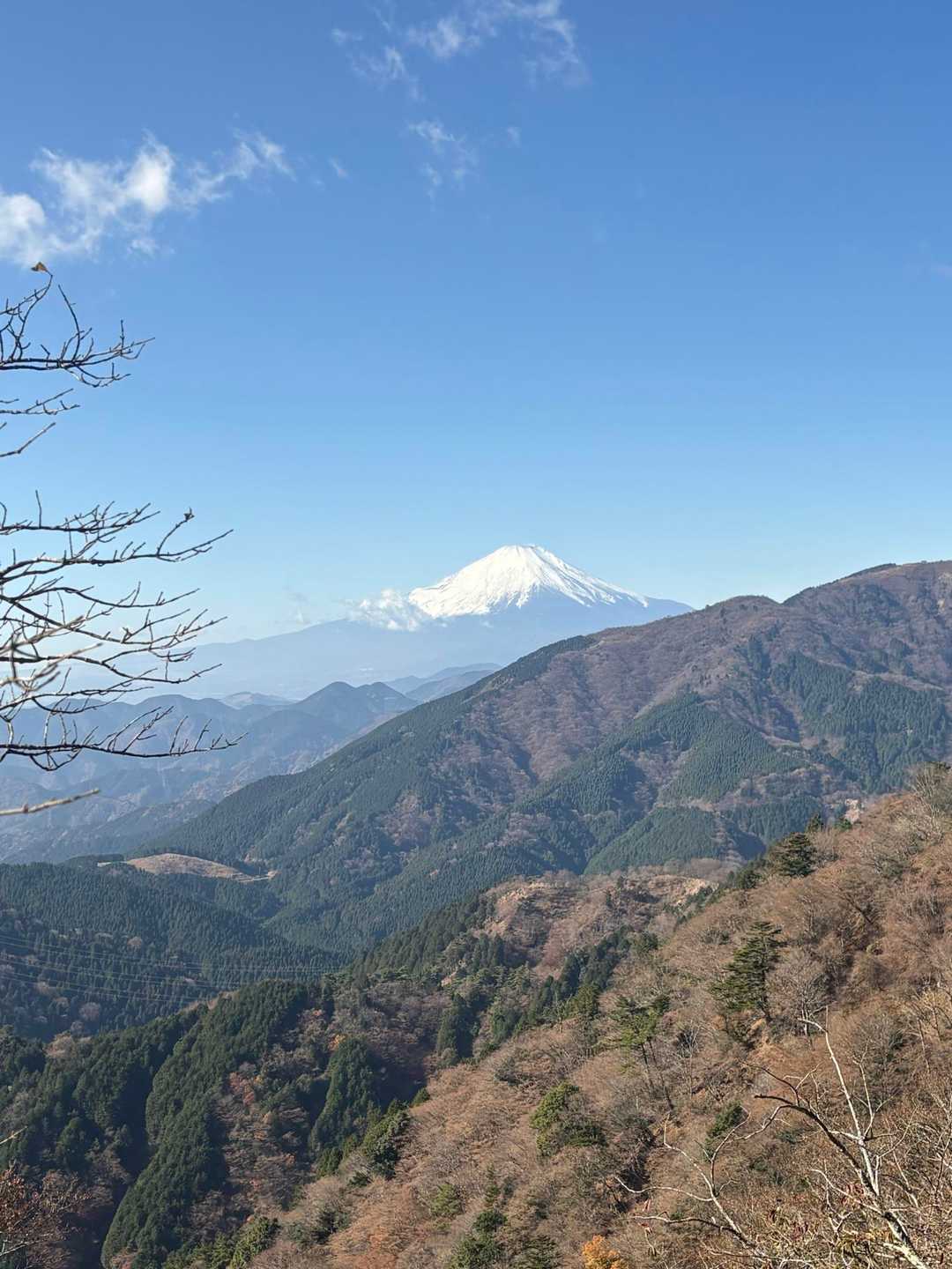 大山ケーブルバス停-大山寺-頂上登山口-大山-大山ケーブル 縦走コースの写真